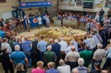 First prize pen of Cheviot Mule Gimmers at Longtown sold for £220 per head from Robert and Hazel McNee Over Finlarg-4